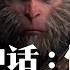黑神话 悟空 剧情解说 第六回 未竟 游戏剧情 剧情解说