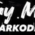 Sarkodie Try Me Mix Video