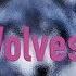 Selena Gomez Marshmello Wolves Lyrics
