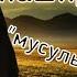 Красивые нашиды Таджикиский Мусульман 2021 Нашиди точики