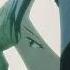 TRUE LOVE Ninja And Witch Isekai Ni Iku Handyman Saitou In Another World