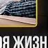 НЕЙРОУЧЕНЫЙ Сделай Свою Жизнь Снова Яркой и Интересной