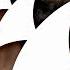 Lost Frequencies Zonderling Crazy Official Music Video