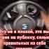 Всегда настоящий музыка русскаямузыка цитата цитаты машина гонки Lehov дикомне