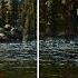 9800X3D Vs 5700X3D Escape From Tarkov Comparison