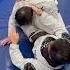 Master Roger S Triangle Trap From Guard Bjjshorts Rogermachadobjj Pasadena Moveoftheday Bjj
