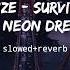 Vanze Survive Feat Neon Dreams Slowed Reverb Slowed Reverb Musics Ncs Release