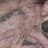 No Home No Food No One Cares His Bewildered Frightened Eyes Pierced My Heart