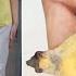 In Just 5 Days Remove Stomach Fat Permanently At Home How To Lose Weight Super Fat 100