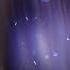 Leviathan We Ll Tear Your Soul Apart Stormrage Remix