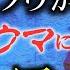 ナナフシギ ノヴ 城谷歩 大赤見ノヴ 聞いてすぐ城谷節怪談 ゲストの怖い体験談を怪談師 城谷歩 が即座に城谷節怪談に 睡眠用 作業用 様々な楽しみ方でぜひ