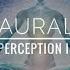 Aural Perception III Goa Trance Mix By E Mantra