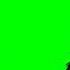 Timon And Pumbaa Interrupt 7 Green Screen Widescreen Scope