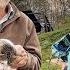 Happy Old Age Of An Elderly Couple In A Mountain Village Far From Civilization