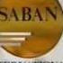 Saban International 1993 Company Logo VHS Capture