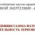 Оценка влияния гамма излучения на радиочувствительность зернового точильщика