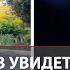 Задержание наркополицейского в СПб Опер на Ауди не ушел от погони