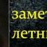 Фёдор Михайлович Достоевский Зимние заметки о летних впечатлениях аудиокнига