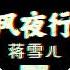 蒋雪儿 风夜行 Remix 2022年越南热门TikTok背景音乐