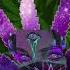 Blink 182 What S My Age Again Dank D Remix Let S Go Blaze Again Popular Songs Made Weed Songs