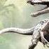 Leucistic Baryonyx Roar