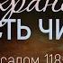 Сохранить юность чистой Алексей Коломийцев