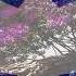 Lighten Shadows Chillout Ambient Psychedelic Downtempo Trip Hop Journey Psybient Relaxing Music
