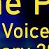 The Pip 4 Digit Uzor Voice Message 30 January 2021 13 06 UTC