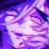Sqwore Навечно Slowed