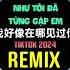 我好像在哪见过你 DJ抖音版 2024 Dường Như Tôi Đã Từng Gặp Em Remix Tiktok Hot Tiktok Douyin