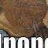 The Book Of The Prophet Baruch Bible Old Testament