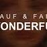Rauf Faik Wonderful Official Audio