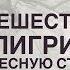 Путешествие Пилигрима в небесную страну Анна Т Мекферсон Биография Джон Буньян