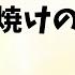 シクフォニ 日焼けのお話 みことくん