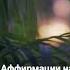 Аффирмации на исполнение желаний Shorts аффирмации исполнениежеланий аффирмациинакаждыйдень