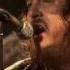 Zucchero Con Le Mani Live In Italy