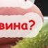 ЗАВЯЗИ ЕСТЬ НО НЕ РАСТУТ ЖЕЛТЕЮТ ЧТО ДЕЛАТЬ ЧТОБЫ ЗАВЯЗИ АКТИВНО НАРАСТАЛИ ПОДКОРМКА ОГУРЦОВ