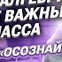 СЛИВ 1 ого урока КУРСА ОСОЗНАЙ Введение в алгебру Повторение ВАЖНЫХ тем 6 класса Саша Тёплая