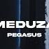 MEDUZA Pegasus Extended Mix