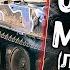 Озвучка экипажа от Мармока для WoT Blitz