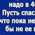 Прикинь я своей курице кастрюлю подарил Что ей еще надо в 40 то лет Хохотал муж в трубку