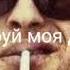 Кайфуй моя душа