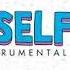 The Chainsmokers SELFIE Official Álbum Instrumental HD