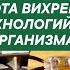 Работа Организма Вихревая Медицина Как усилить иммунитет Почему поднимается давление