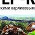 Мастер класс по запуску аквариума с мексиканскими карликовыми оранжевыми раками