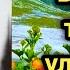 Бургут тогда улгаяди 6 кисм