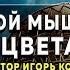 Проповедь Построй мышление процветания Игорь Косован