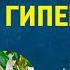 ЛЕКАРСТВЕННЫЕ ТРАВЫ ПРОТИВ ГИПЕРТОНИИ травы от гипертонии травы снижающие давление фитотерапия