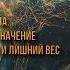 Вебинар с Алексеем Кобелевым 3 Боги Дух и Душа пришельцы лишний вес и многое другое