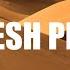 Shesh Pesh JR Tundra Copyright Free Music